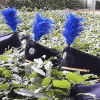 Schenk een Pluim